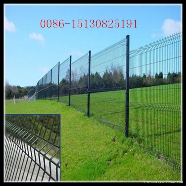 welded wire fence 