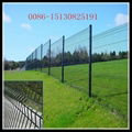 welded wire fence