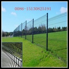 welded wire fence 