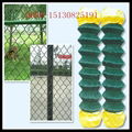 PVC Coated Chain Link Fence