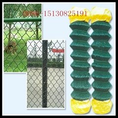 PVC Coated Chain Link Fence 