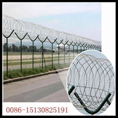 razor barbed wire fence 