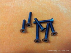 titanium screws