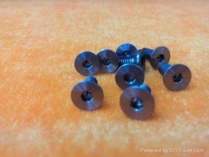 titanium screws 2