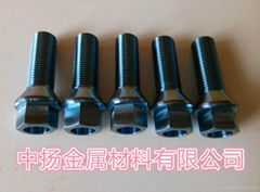 auto bolts