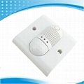 Gas Detector with Voice Alarm