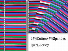 Cotton Lycra Jersey