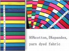 Cotton Lycra Jersey