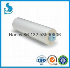 hot lamination film