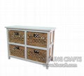 Water hyacinth cabinet