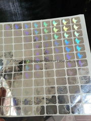 Hologram sticker