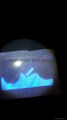 IL overlay hologram Illinois uv hologram