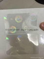 Florida state overlay ID hologram FL