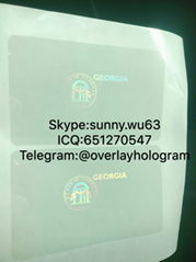 USA Georgia ID state overlay hologram GA back sticker overlay sticker