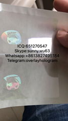 United Kingdom ID overlay hologram UK hologram