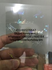 Indiana state overlay ID hologram