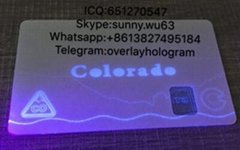 New Colorado state uv card window ID card for Colorado uv 
