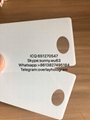 Virginia DL window card  VA blank card 2