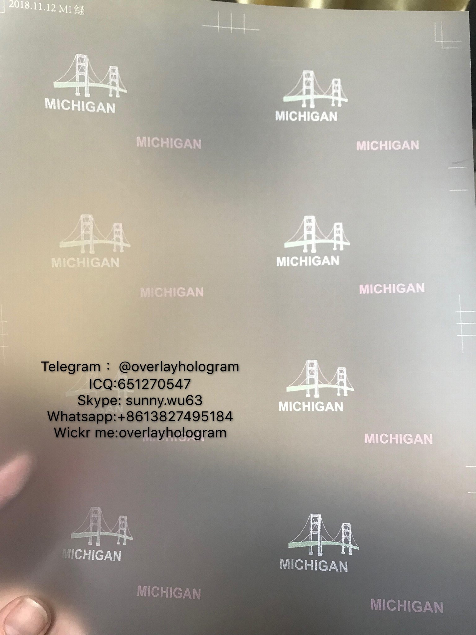 Michigan ID State hologram Ovi sheet MI ID overlay 