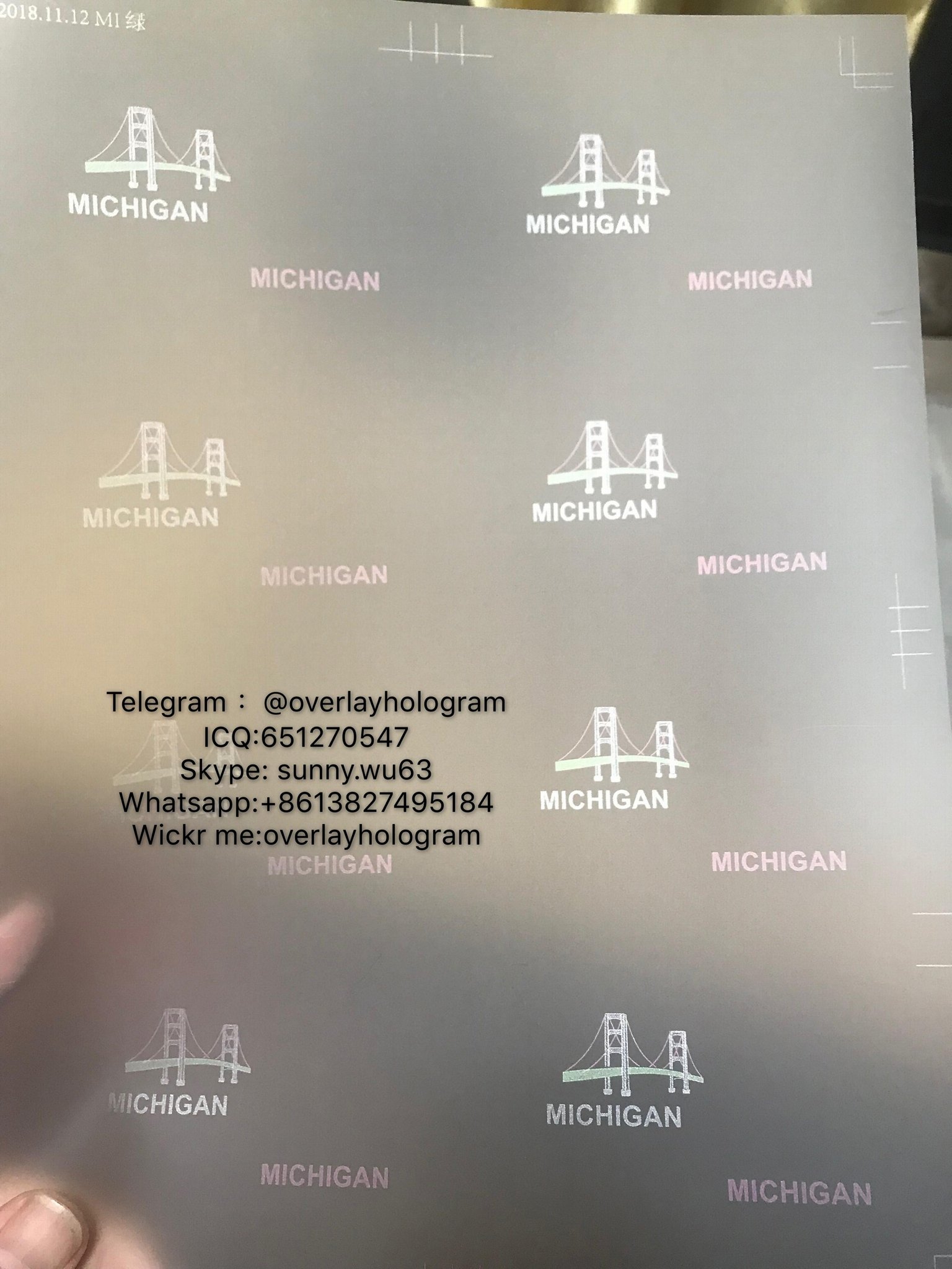 Michigan ID State hologram Ovi sheet MI ID overlay  2
