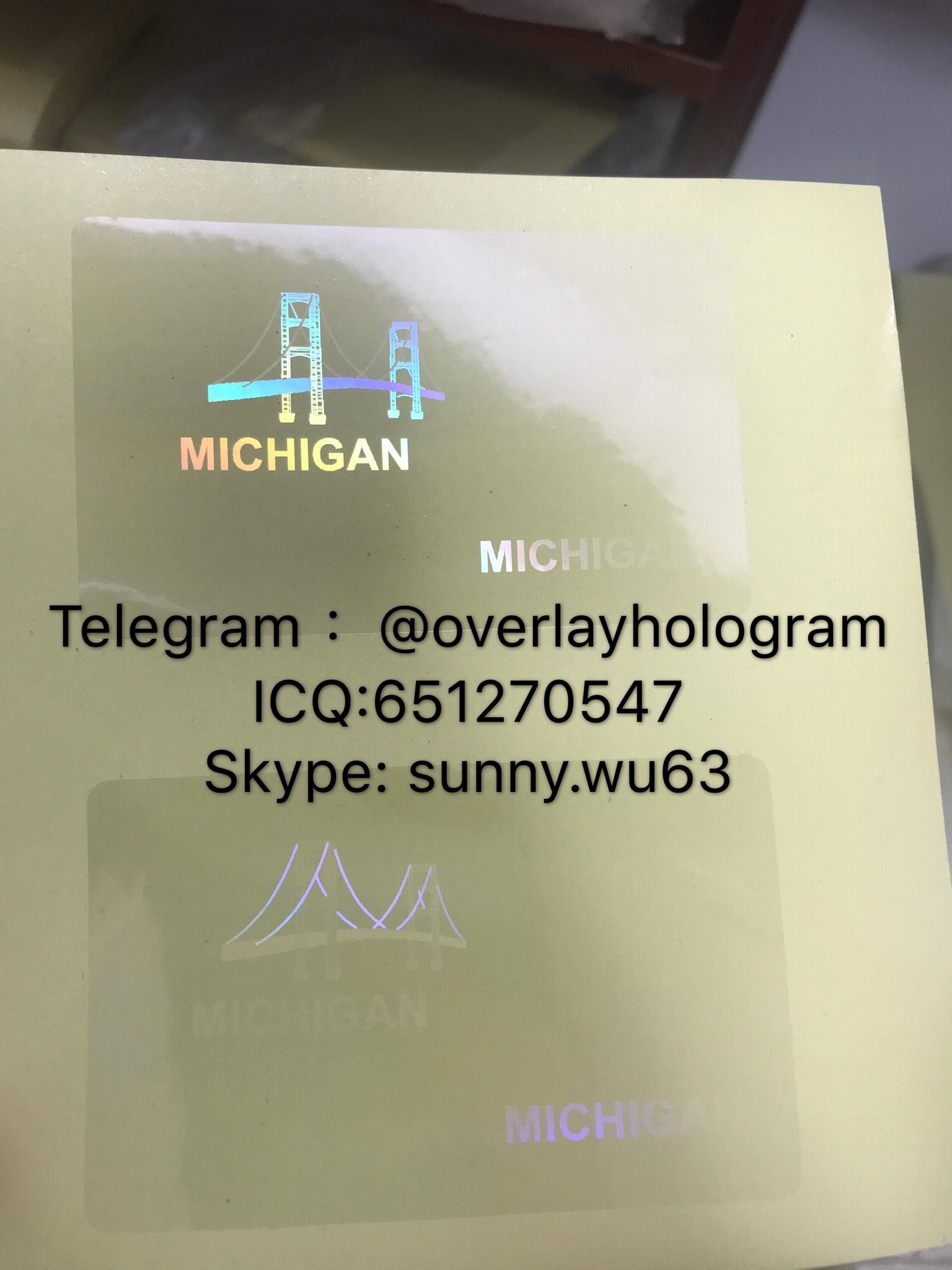 New Michigan ID state overlay MI overlay Michigan hologram - China