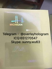 New Michigan ID state overlay MI overlay Michigan hologram