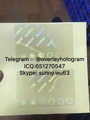 IL FL NJ KY MI TX state id overlay hologram