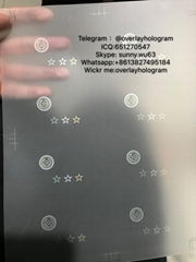TX OVI sheet hologram Taxes sticker overlay