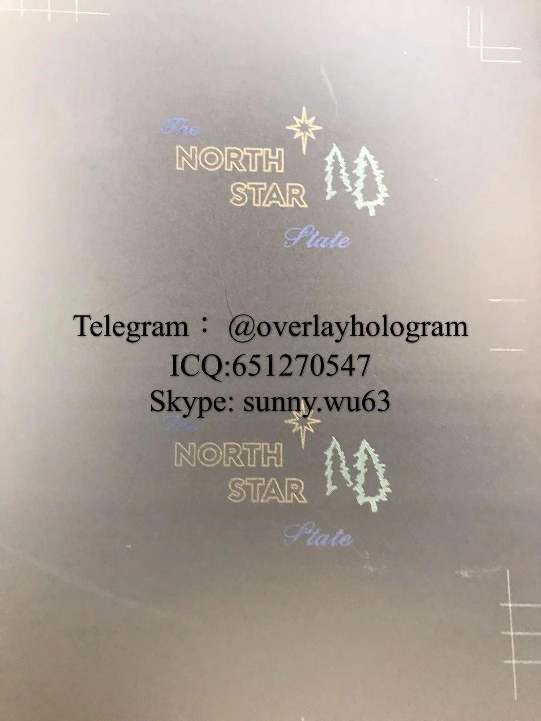 Minnesota ID laminate sheet MN id hologram      2