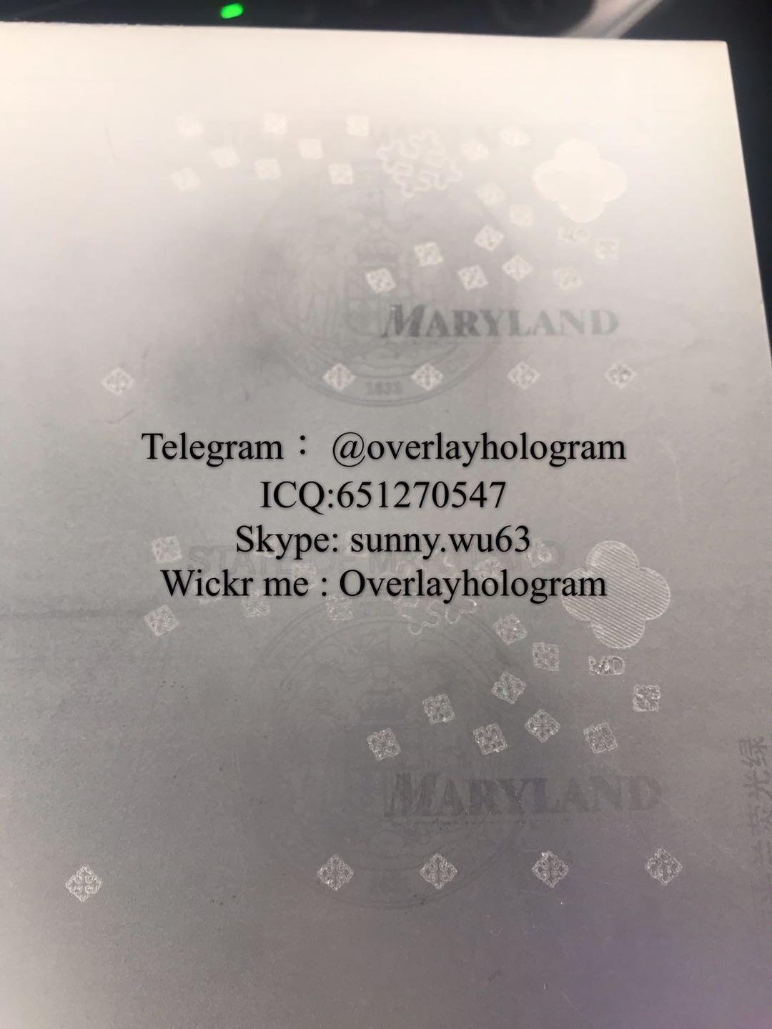 MD laminate sheet hologram Maryland ID overlay  2