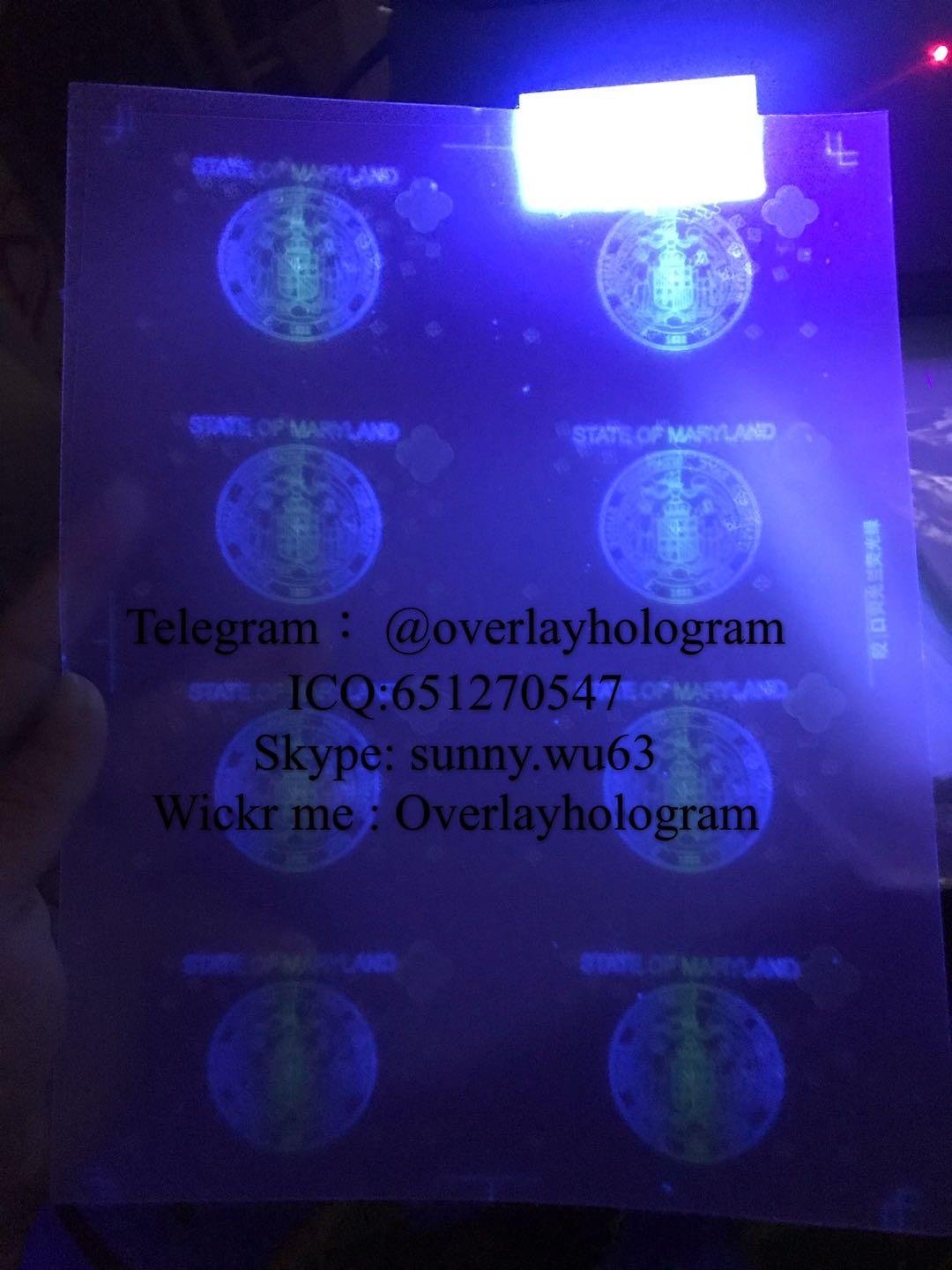 MD laminate sheet hologram Maryland ID overlay  3
