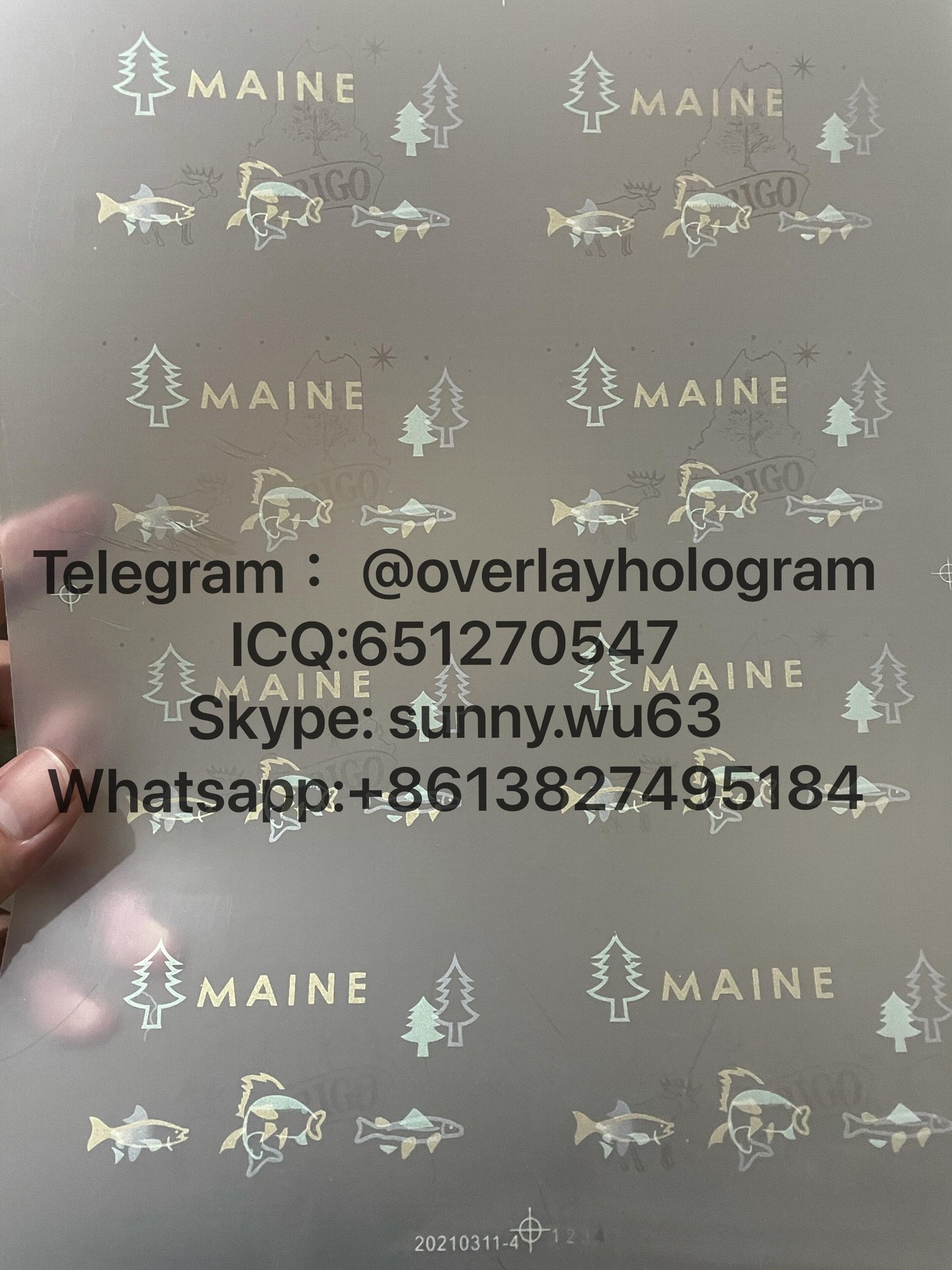 Maine ID laminate sheet overlay ME driver ID hologram