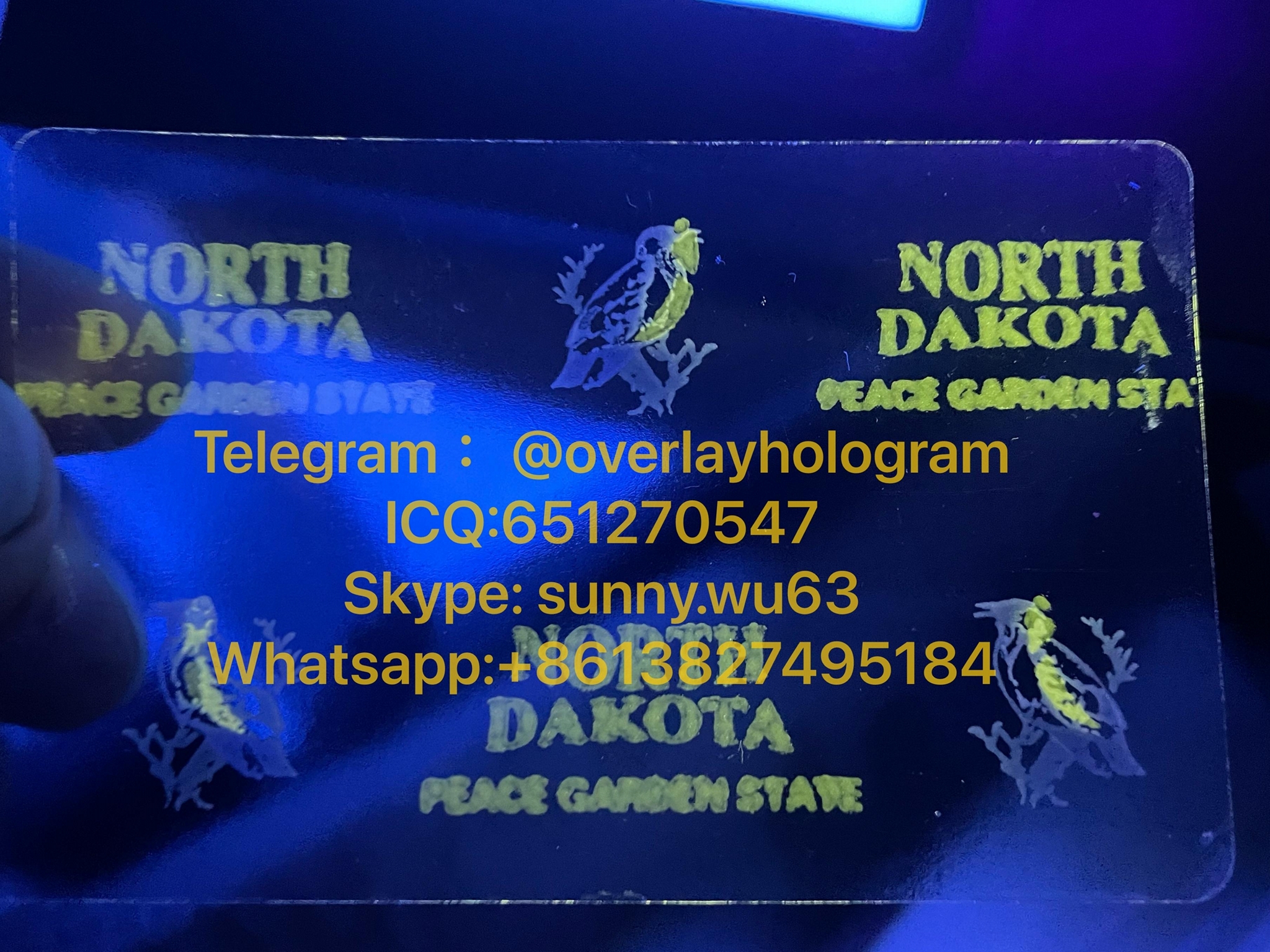 ND ID hologram North Dakota state overlay (China Manufacturer) Anti