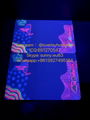 2023 New York UV card ID UV Blank Card Ny UV windon Card I 3