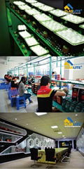Dongguan Flaslite Electronics Co.,Limited