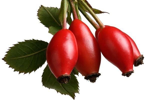 Rose hips extract