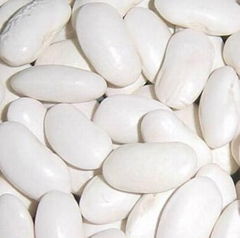 White kidney bean extract