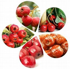 Hawthorn Fruit Extract