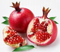 Pomegranate Peel Extract 1