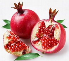 Pomegranate Peel Extract