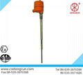 wide application  DRFK-98 RF Admittance Level Switch  3