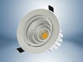 Good price COB downlight 12W 1