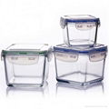 Leakproof Clear Pyrex Glass Food