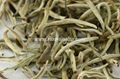 Imperial Jasmine Silver Needle White Tea 1