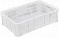 plastic fruit storage box