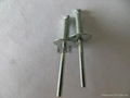 304 S.S large flange blind rivets 4