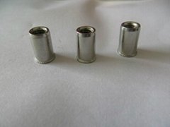 304S.S small countersunk head rivet nuts