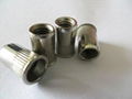 304S.S small countersunk head rivet nuts 3