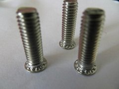 FHS/FH self-clinching screws
