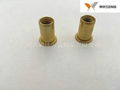 brass flat head rivet nuts